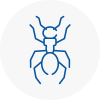 Ant Removals In Burnham