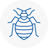 Bed Bug Extermination In Burnham