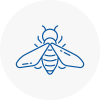 Bee Nest Removal Burnham