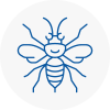 Burnham Hornet Nest Removals