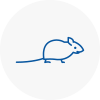 Mice Exterminators In Burnham