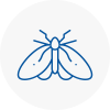 Moth Control Specialists In Burnham