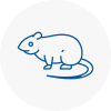 Rat Control Burnham