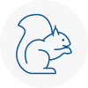 Burnham Rodent Removals