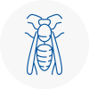 Burnham Wasp Nest Removal